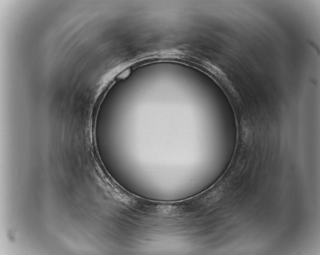 X0000101231176200807071404