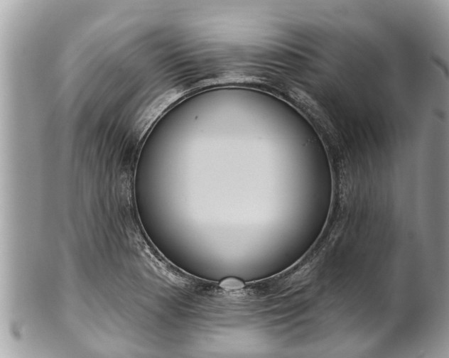 X0000101231177200807071404