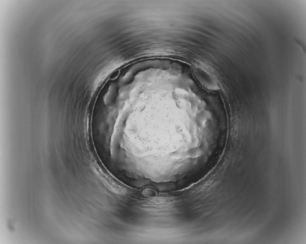 X0000101231179200807071404