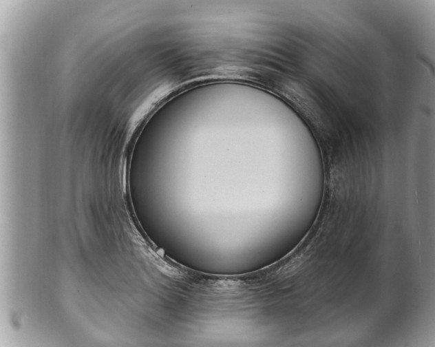 X0000101231180200807071404