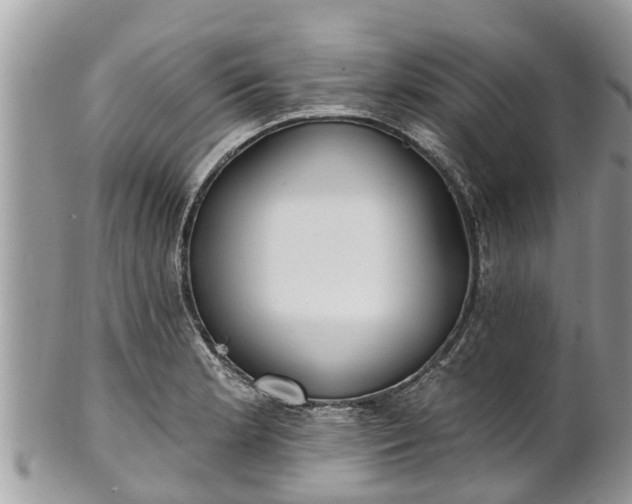 X0000101231181200807071404