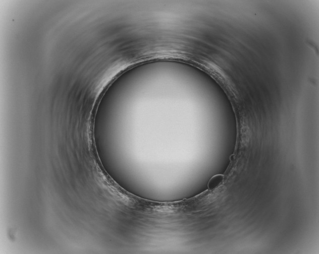 X0000101231182200807071404