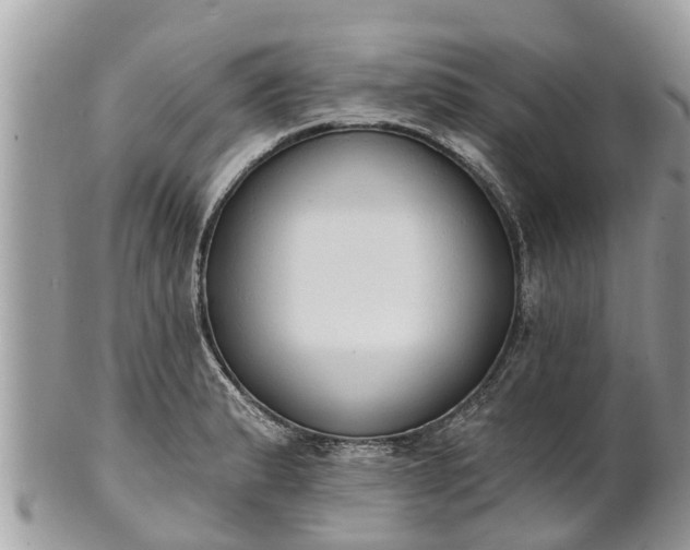 X0000101231183200807071404