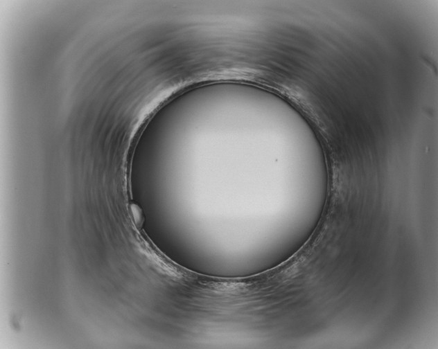 X0000101231184200807071404