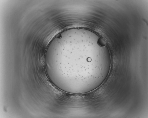 X0000101231185200807071404