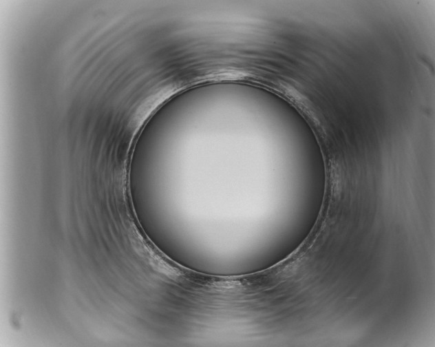 X0000101231186200807071404