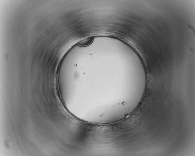 X0000101231187200807071404