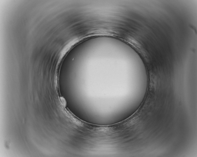 X0000101231188200807071404