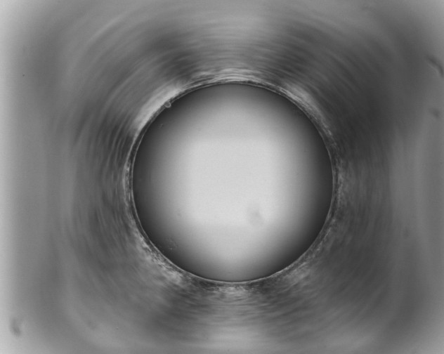 X0000101231190200807071404