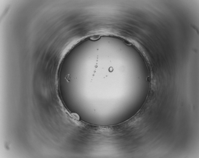 X0000101231191200807071404