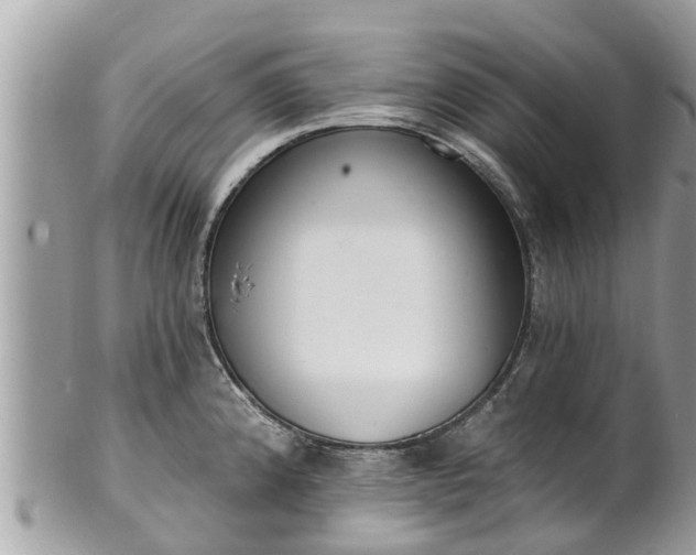 X0000101231192200807071404