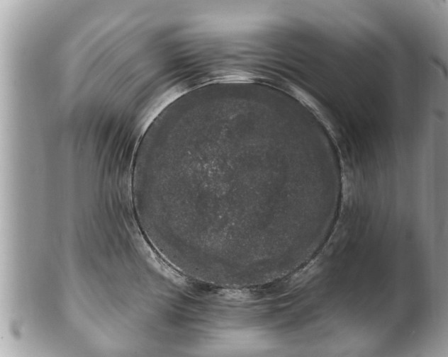 X0000101231194200807071404