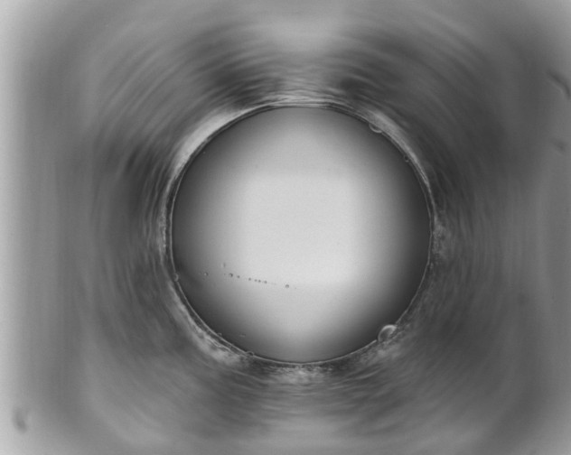 X0000101231195200807071404