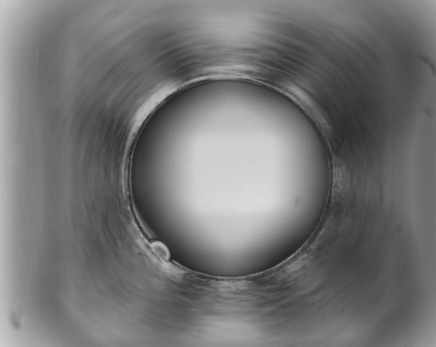 X0000101231196200807071404