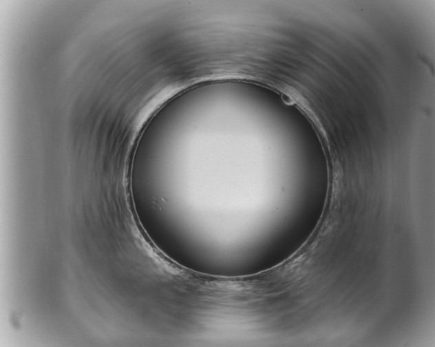 X0000101231197200807071404