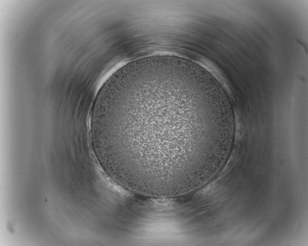 X0000101231198200807071404