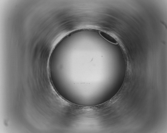 X0000101231199200807071404