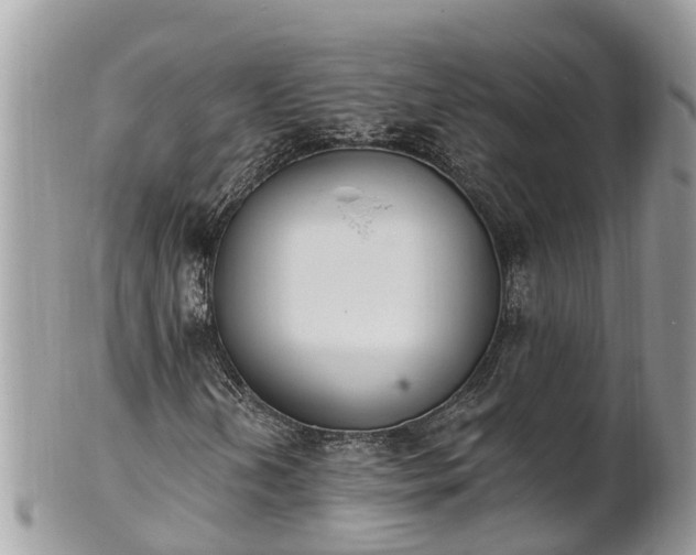X0000101231202200807071403