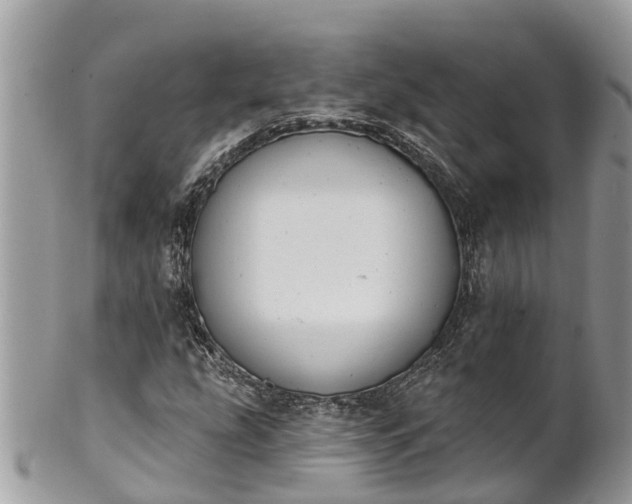 X0000101231207200807071403