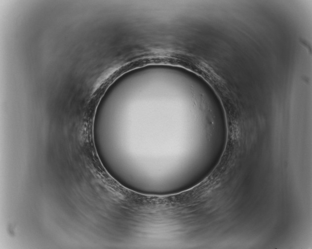 X0000101231208200807071403