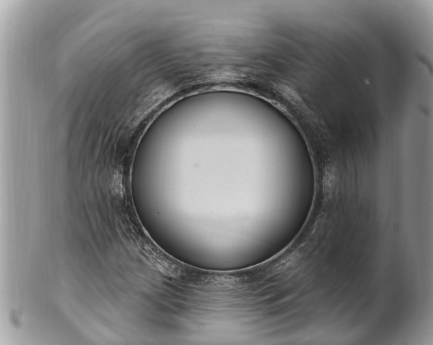 X0000101231209200807071403