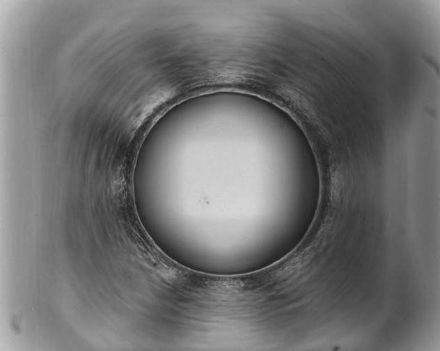 X0000101231210200807071403