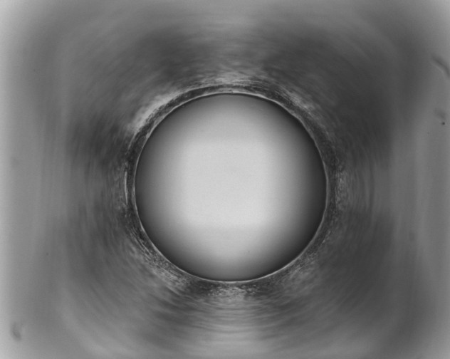 X0000101231214200807071403