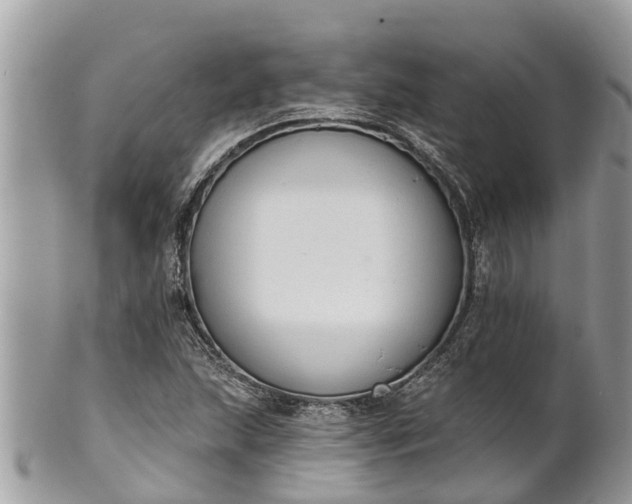 X0000101231215200807071403