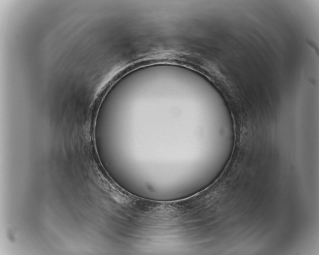 X0000101231216200807071403