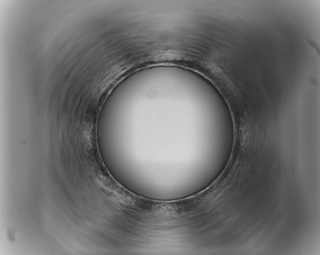 X0000101231217200807071403