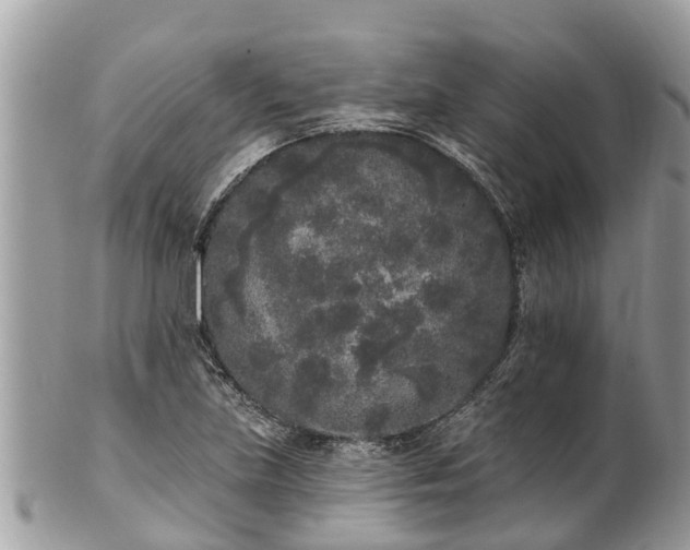 X0000101231219200807071403