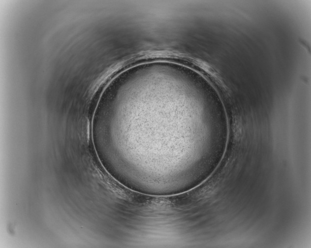 X0000101231221200807071403