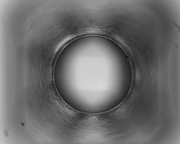 X0000101231222200807071403