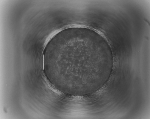 X0000101231223200807071403