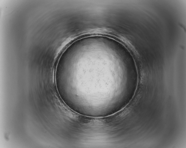 X0000101231224200807071404