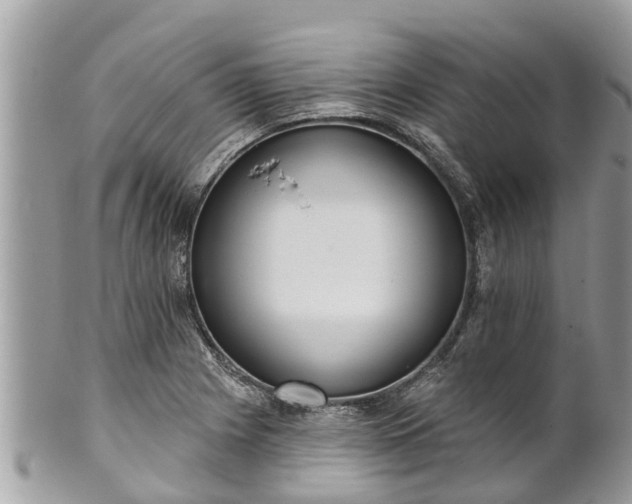 X0000101231225200807071404