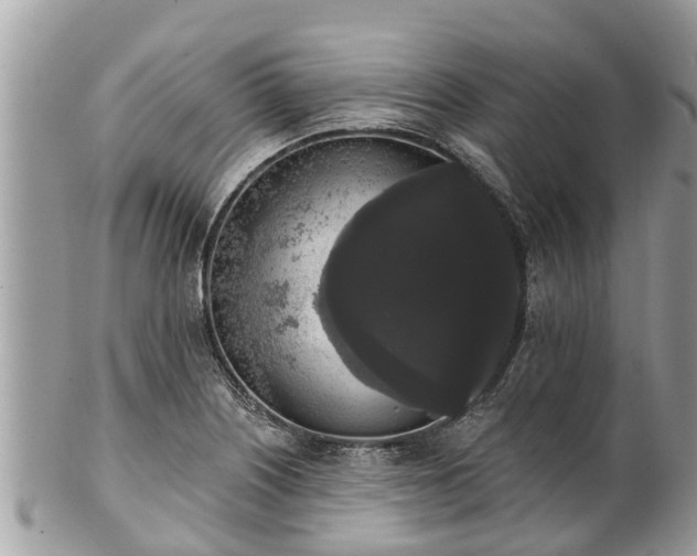 X0000101231226200807071404