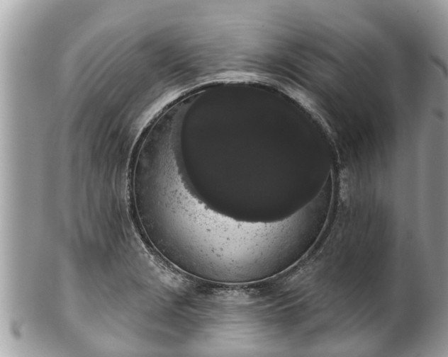 X0000101231229200807071404