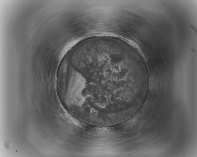 X0000101231231200807071404