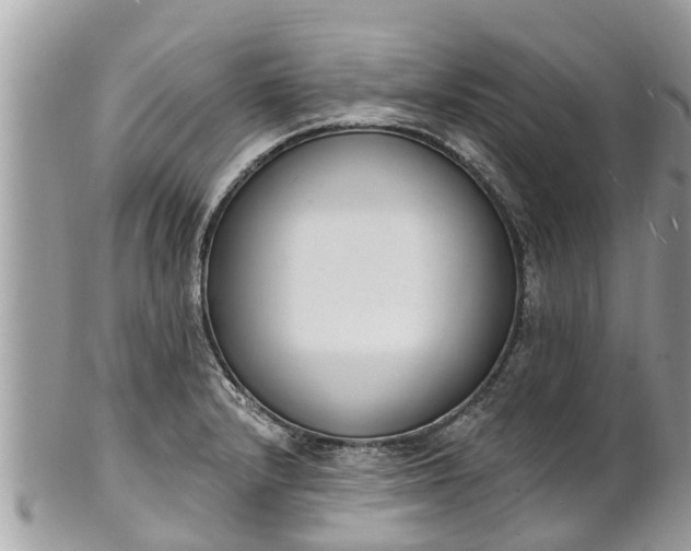 X0000101231232200807071404