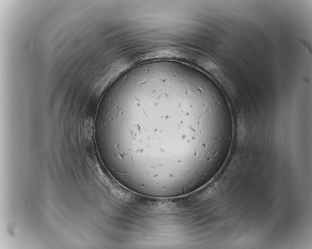 X0000101231233200807071404