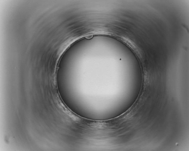 X0000101231236200807071404