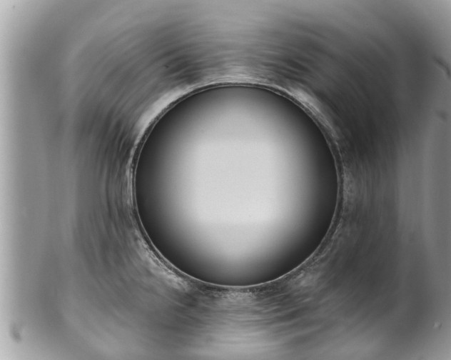 X0000101231238200807071404