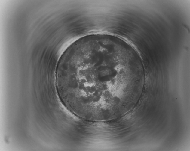 X0000101231239200807071404