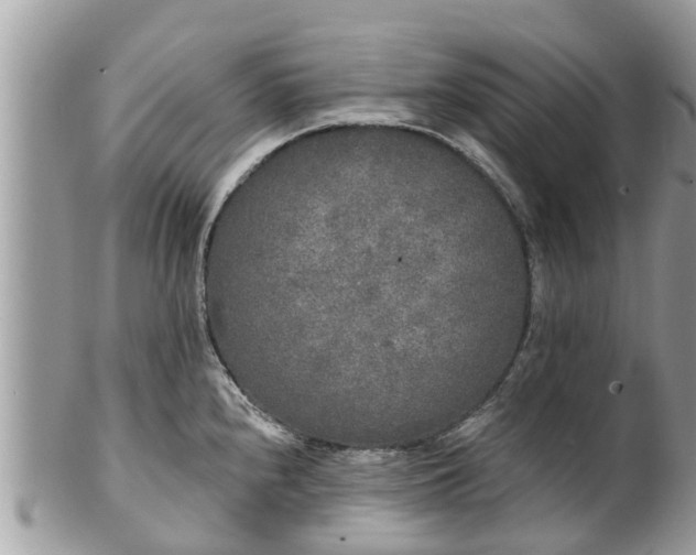 X0000101231240200807071404