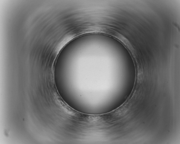 X0000101231242200807071404