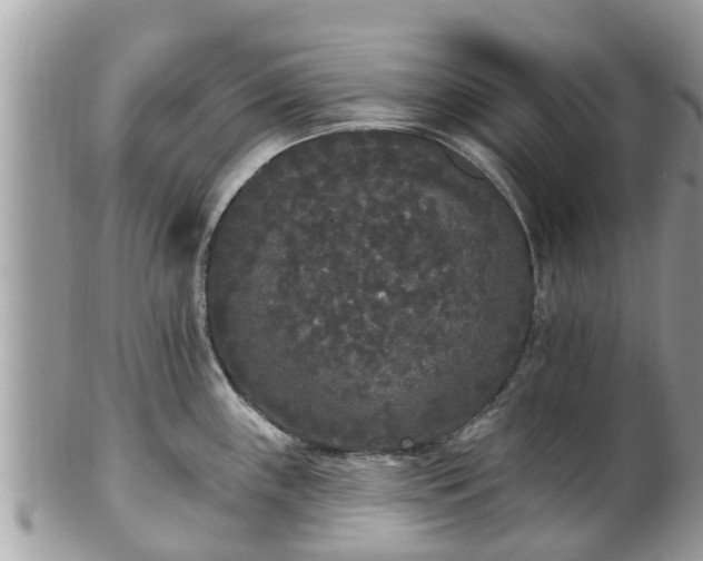 X0000101231243200807071404