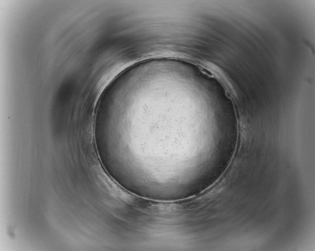 X0000101231244200807071404