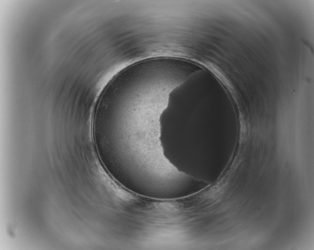 X0000101231246200807071404
