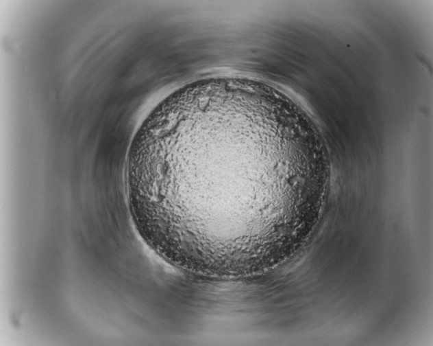 X0000101231247200807071404